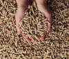 EXPORT PROCEDURES FOR WOOD PELLETS AT K PLUS
