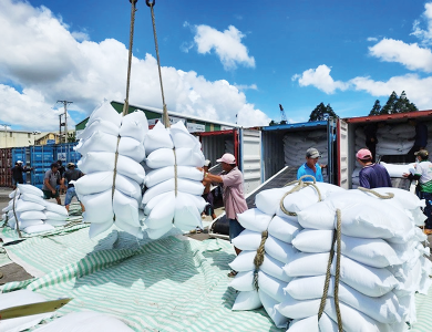 THỦ TỤC XUẤT KHẨU GẠO TẠI K PLUS