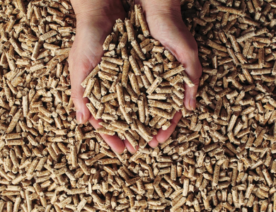 EXPORT PROCEDURES FOR WOOD PELLETS AT K PLUS