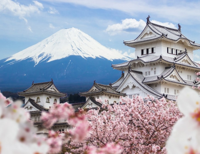 Vận chuyển hàng bằng container từ Việt Nam đi Nhật Bản