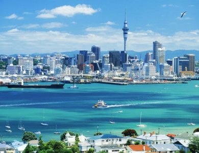 Vận chuyển hàng bằng container từ Việt Nam đi Niu di lân