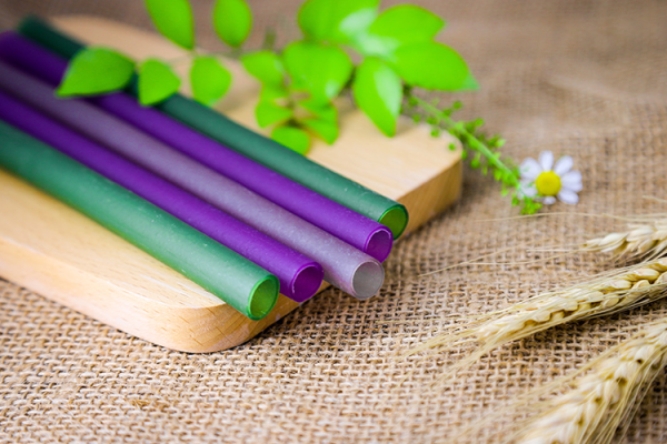 THỦ TỤC XUẤT KHẨU ỐNG HÚT GẠO TẠI K PLUS