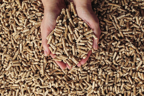 THỦ TỤC XUẤT KHẨU VIÊN NÉN GỖ TẠI K PLUS